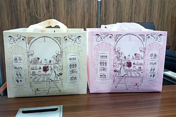 Eco-Friendly and Durable: The Advantages of Non-Woven Cake Bags